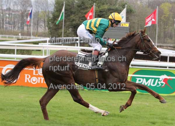 Miramix Havlin R prot